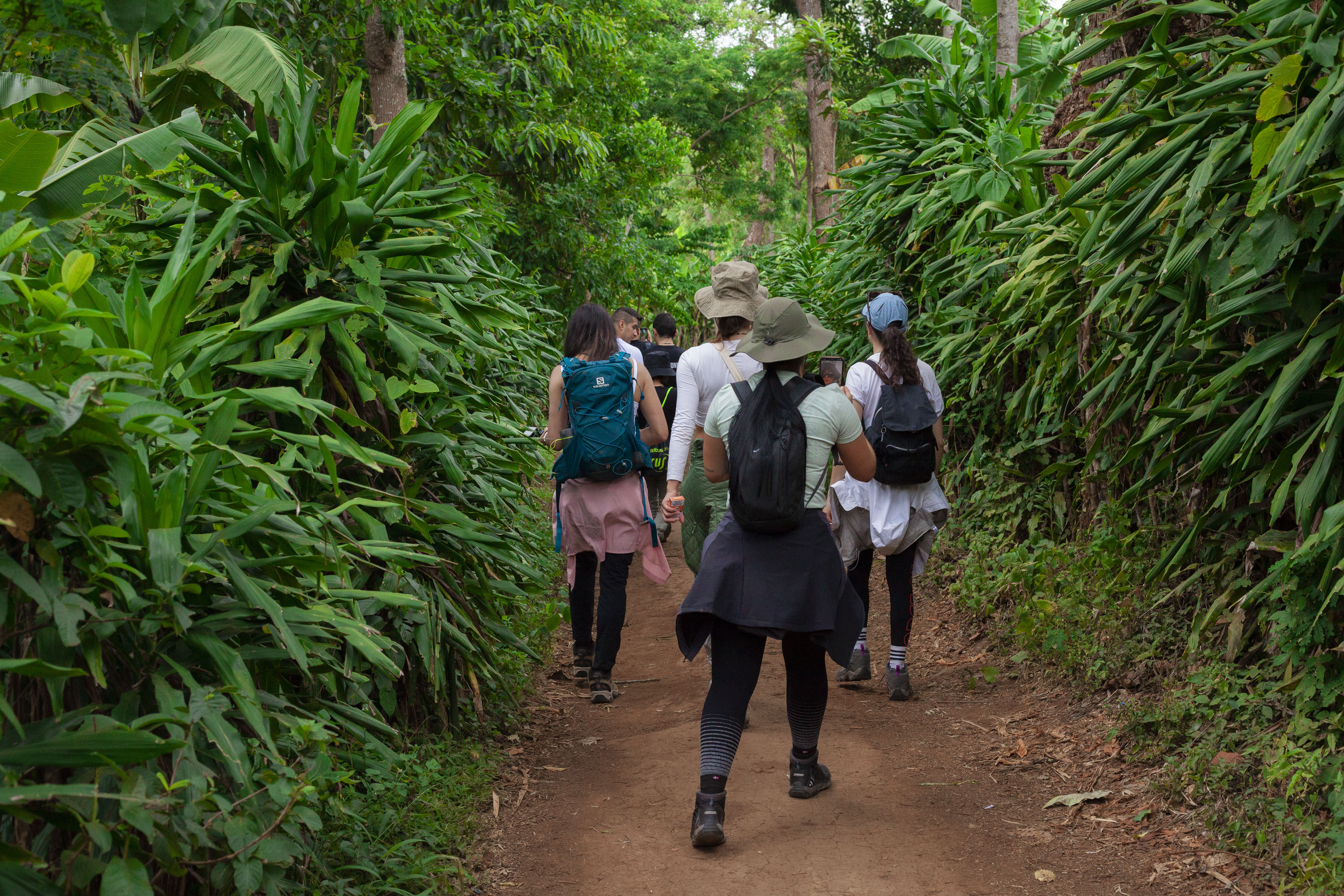 1-Day Trip at Marangu Waterfalls in Moshi things to Do gallery image